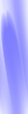 Desktop Pattern Starfishx Red, White, & Blue 100x400 - 59