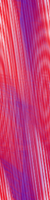 Desktop Pattern Starfishx Red, White, & Blue 100x400 - 88