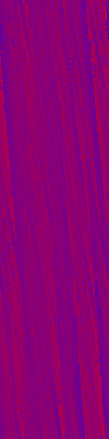 Desktop Pattern Starfishx Red, White, & Blue 100x400 - 100