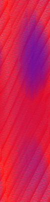 Desktop Pattern Starfishx Red, White, & Blue 100x400 - 107