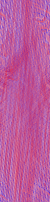 Desktop Pattern Starfishx Red, White, & Blue 100x400 - 117