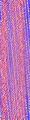 Desktop Pattern Starfishx Red, White, & Blue 100x400 - 130