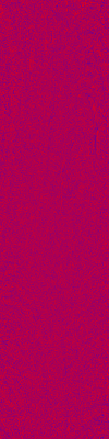 Desktop Pattern Starfishx Red, White, & Blue 100x400 - 135