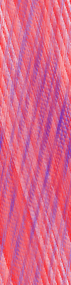 Desktop Pattern Starfishx Red, White, & Blue 100x400 - 138