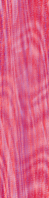 Desktop Pattern Starfishx Red, White, & Blue 100x400 - 139