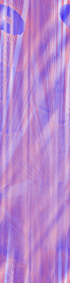 Desktop Pattern Starfishx Red, White, & Blue 100x400 - 140