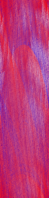Desktop Pattern Starfishx Red, White, & Blue 100x400 - 147