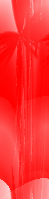 Desktop Pattern Starfishx Red, White, & Blue 100x400 - 157