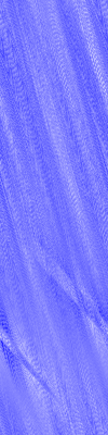 Desktop Pattern Starfishx Red, White, & Blue 100x400 - 163