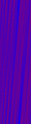 Desktop Pattern Starfishx Red, White, & Blue 100x400 - 172