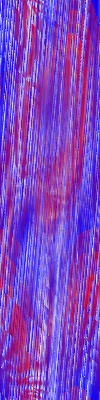 Desktop Pattern Starfishx Red, White, & Blue 100x400 - 174