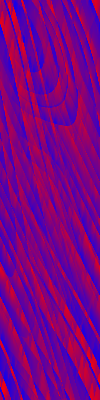 Desktop Pattern Starfishx Red, White, & Blue 100x400 - 176