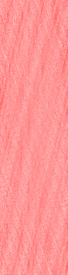 Desktop Pattern Starfishx Red, White, & Blue 100x400 - 191