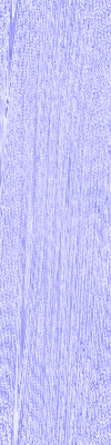 Desktop Pattern Starfishx Red, White, & Blue 100x400 - 198