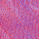 Desktop Pattern Starfishx Red, White, & Blue 128x128 - 162
