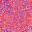 Desktop Pattern Starfishx Red, White, & Blue 32x32 - 189