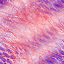 Desktop Pattern Starfishx Red, White, & Blue 64x64 - 62