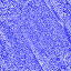 Desktop Pattern Starfishx Red, White, & Blue 64x64 - 78