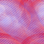Desktop Pattern Starfishx Red, White, & Blue 64x64 - 83
