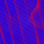 Desktop Pattern Starfishx Red, White, & Blue 64x64 - 92