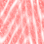 Desktop Pattern Starfishx Red, White, & Blue 64x64 - 98