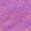Desktop Pattern Starfishx Red, White, & Blue 64x64 - 111