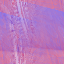 Desktop Pattern Starfishx Red, White, & Blue 64x64 - 125