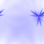 Desktop Pattern Starfishx Red, White, & Blue 64x64 - 141
