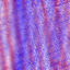 Desktop Pattern Starfishx Red, White, & Blue 64x64 - 155