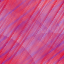 Desktop Pattern Starfishx Red, White, & Blue 64x64 - 162