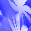 Desktop Pattern Starfishx Red, White, & Blue 64x64 - 166