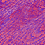 Desktop Pattern Starfishx Red, White, & Blue 64x64 - 190