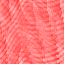 Desktop Pattern Starfishx Red, White, & Blue 64x64 - 196