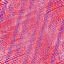 Desktop Pattern Starfishx Red, White, & Blue 64x64 - 197