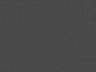 Desktop Pattern Starfishx Black 5 Originals - 5