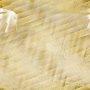 Desktop Pattern Starfishx Random Set 1 128x128 - 33