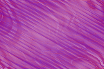 Desktop Pattern Starfishx Random Set 1 150x100 - 6