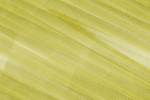 Desktop Pattern Starfishx Random Set 1 150x100 - 46
