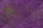 Desktop Pattern Starfishx Random Set 1 150x100 - 60