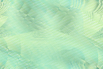 Desktop Pattern Starfishx Random Set 1 150x100 - 64