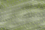 Desktop Pattern Starfishx Random Set 1 150x100 - 100