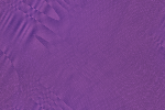 Desktop Pattern Starfishx Random Set 1 150x100 - 141