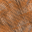 Desktop Pattern Starfishx Random Set 1 32x32 - 27