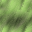 Desktop Pattern Starfishx Random Set 1 32x32 - 62
