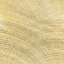 Desktop Pattern Starfishx Random Set 1 64x64 - 24