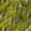 Desktop Pattern Starfishx Random Set 1 64x64 - 62