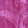 Desktop Pattern Starfishx Random Set 2 - 56