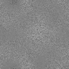Desktop Pattern Starfishx Random Set 2 - 75