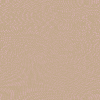 Desktop Pattern Starfishx Random Set 2 - 124