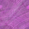 Desktop Pattern Starfishx Random Set 2 - 188